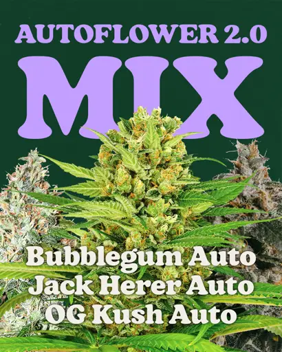 Autoflower 2.0 Mix