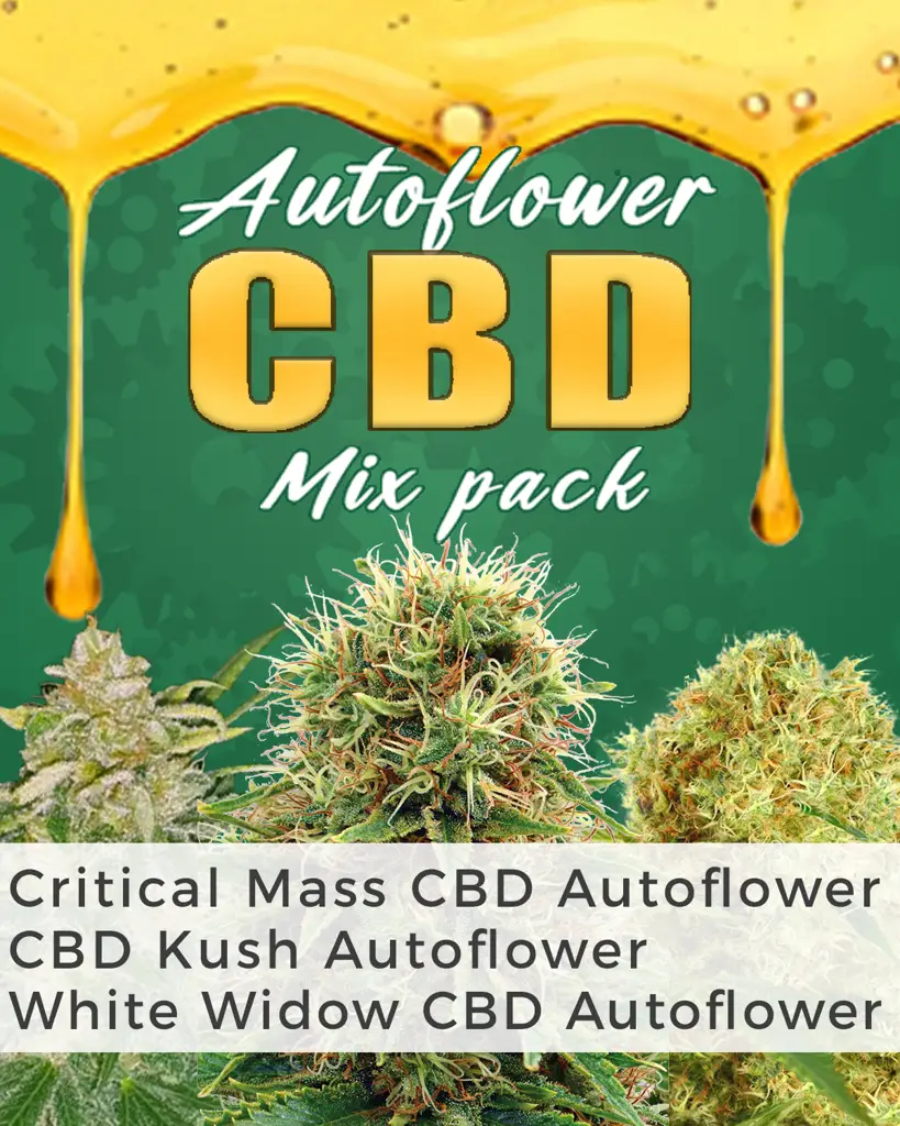 Autoflower CBD Mix