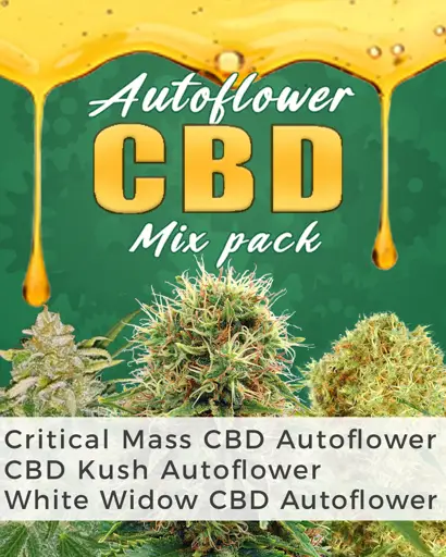 Autoflower CBD Mix