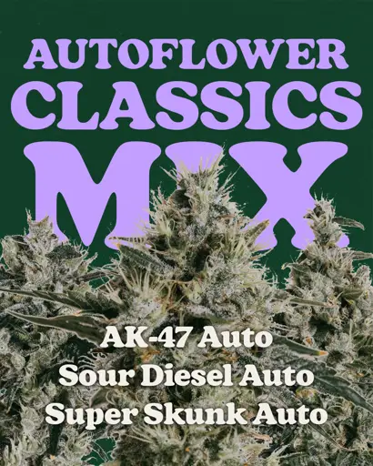Autoflower Classics Mix