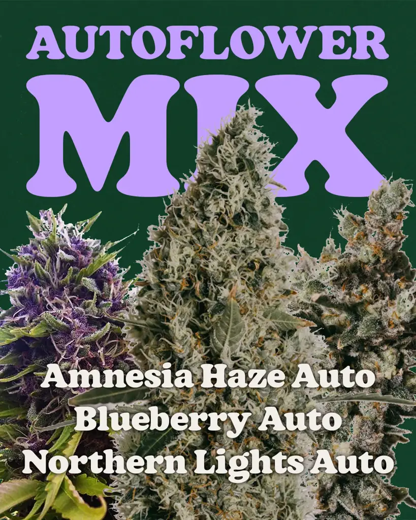 Autoflower Mix Pack
