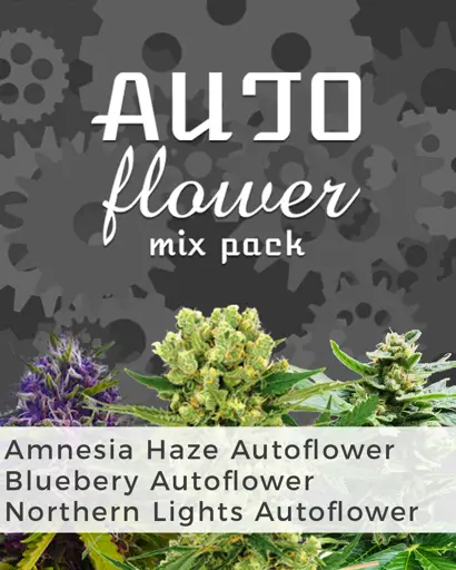 Autoflower Mix Pack