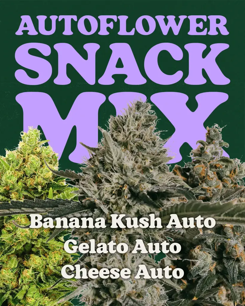 Autoflower Snack Mix