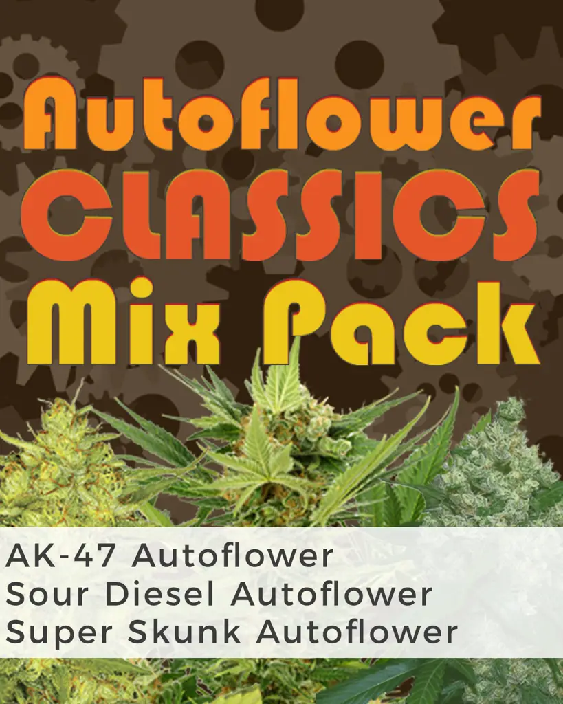 Autoflower Classics Mix