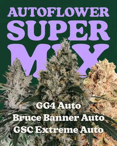 Autoflower Super Mix