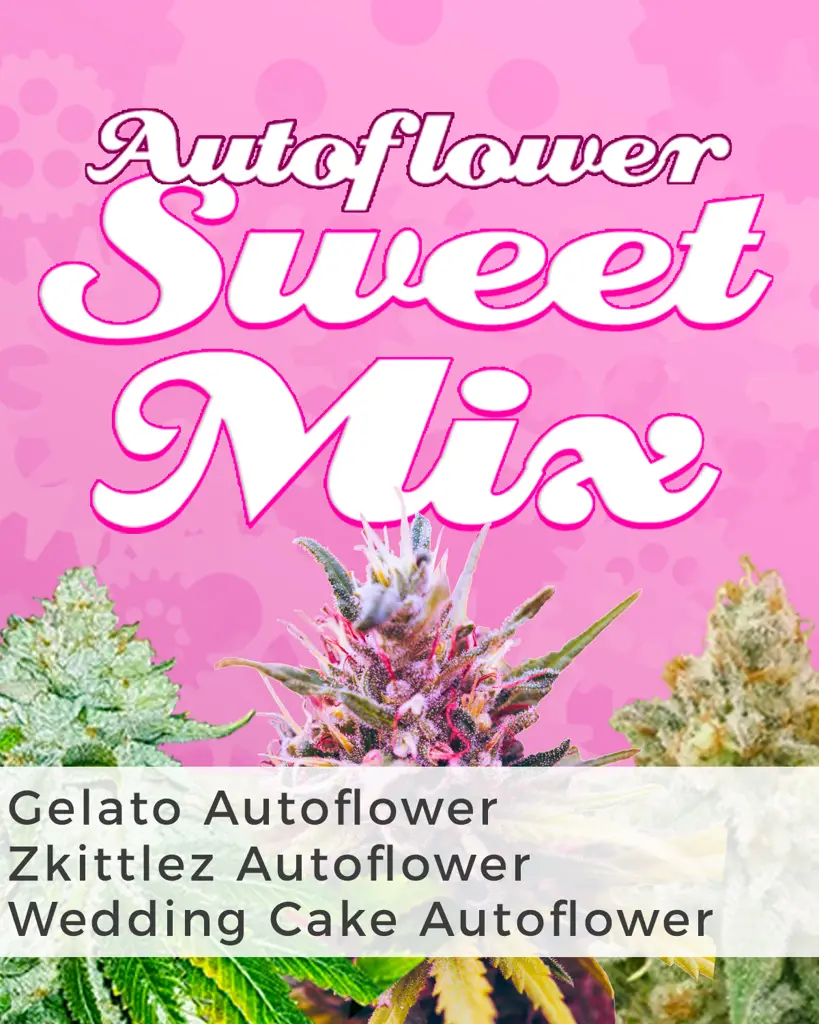 Autoflower Sweet Mix