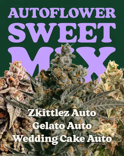 Autoflower Sweet Mix