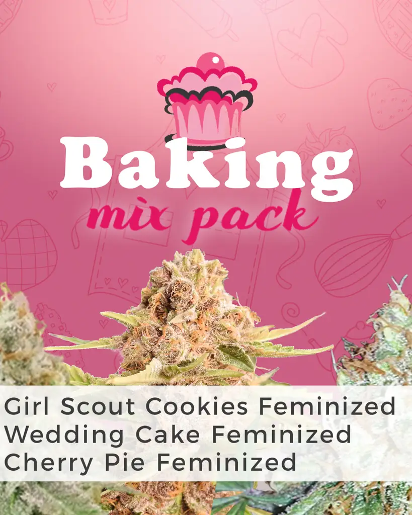 Baking Mix