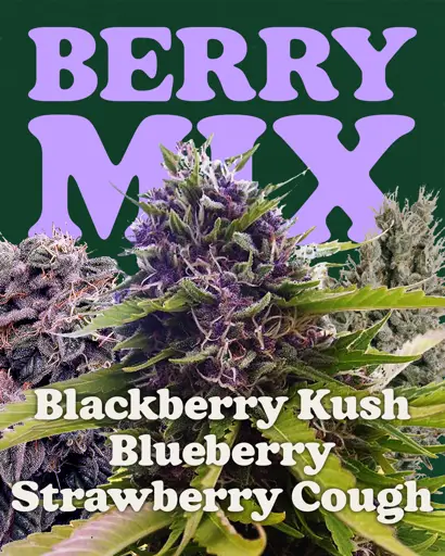 Berry Mix