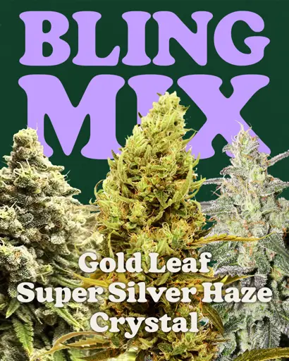 Bling Mix