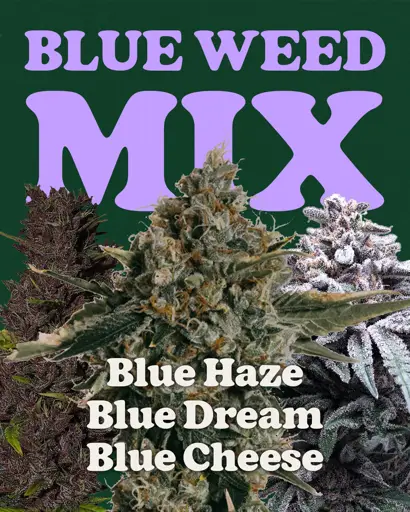 Blue Weed Mix