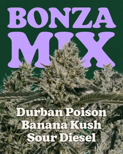 Bonza Seeds Mix