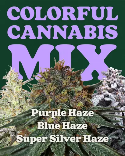 Colorful Weed Mix