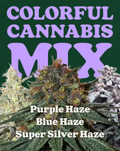 Colorful Weed Mix