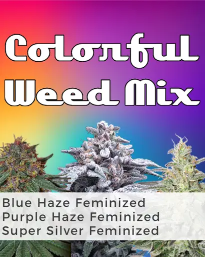 Colorful Weed Mix