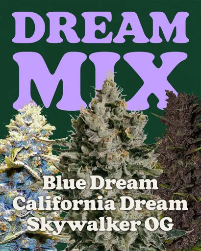 Dream Mix