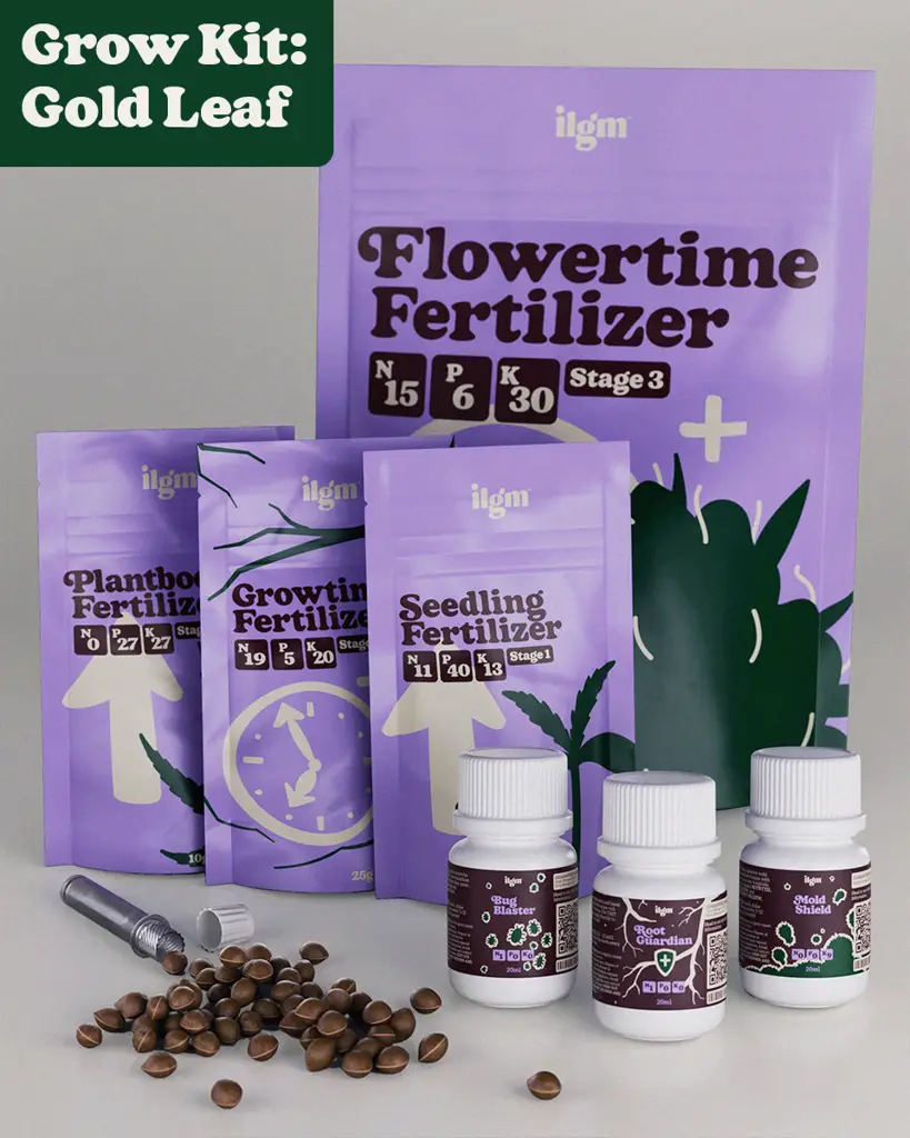 Marijuana Grow Kit - Gold Leaf