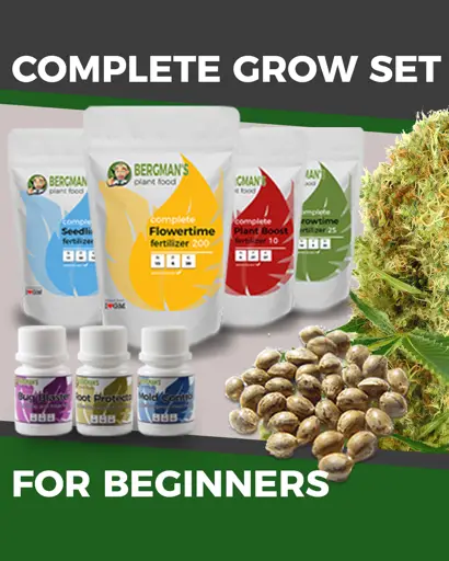 Marijuana Grow Kit - Beginners