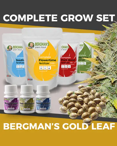 Marijuana Grow Kit - Gold Leaf