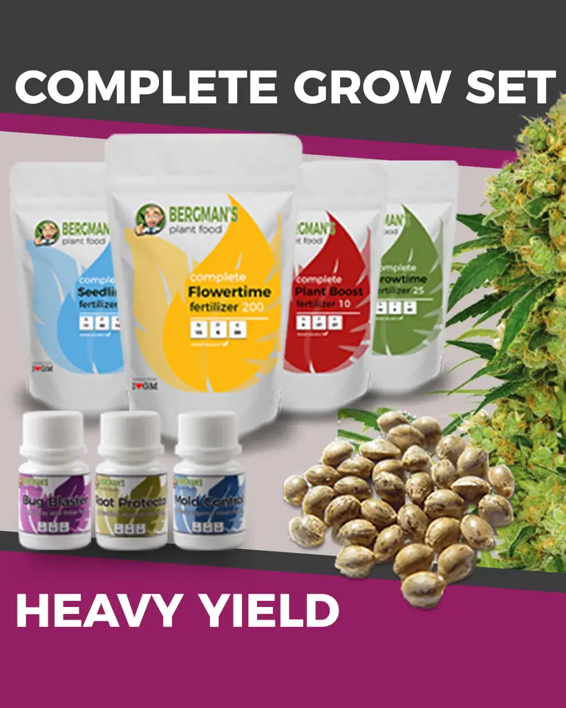 Marijuana Grow Kit - High Yield