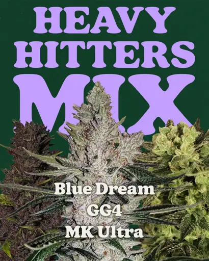 Heavy Hitters Mix