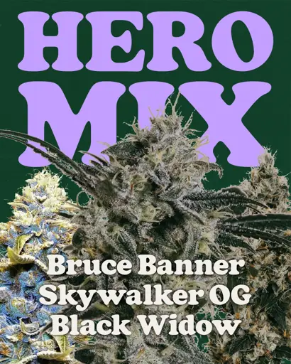 Hero Mix