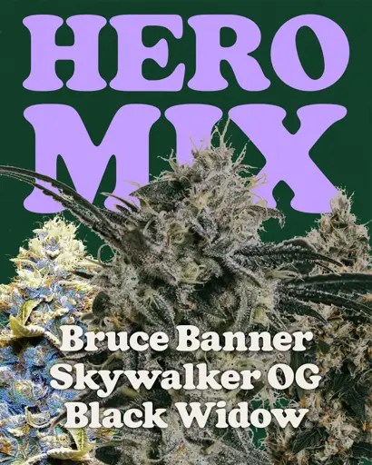 Hero Mix