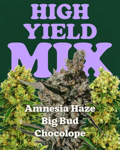 High Yield Mix