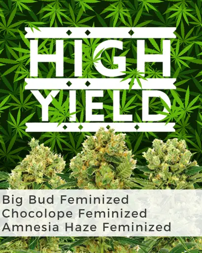 High Yield Mix