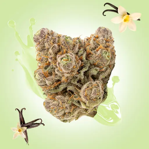 Ice Cream Cake THCa Flower