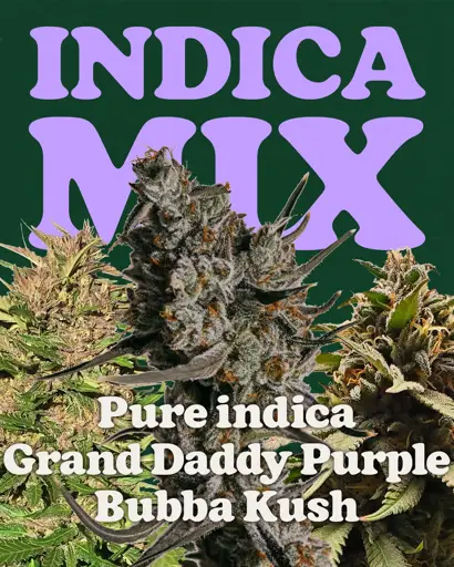 Indica Mix