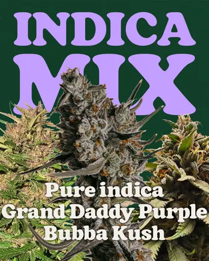 Indica Mix