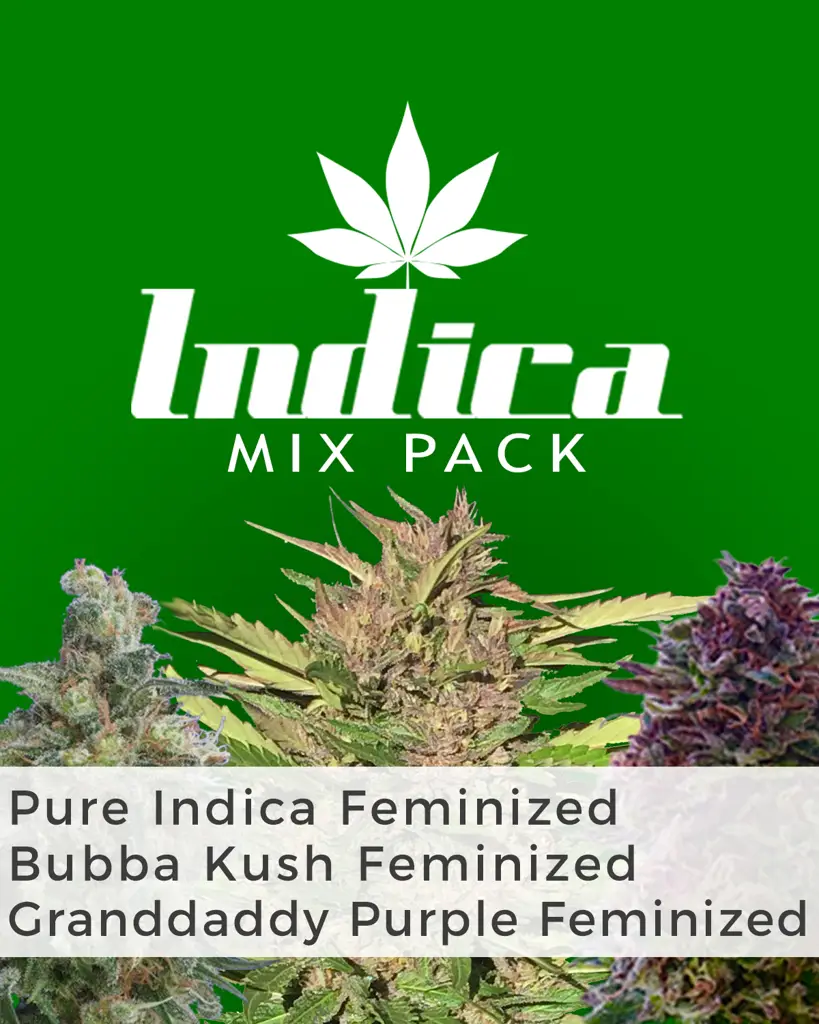 Indica Mix