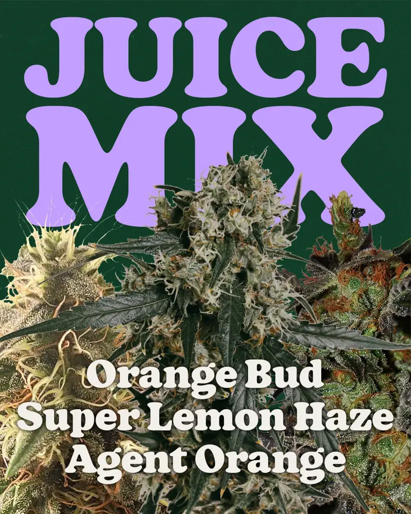 Juice Mix