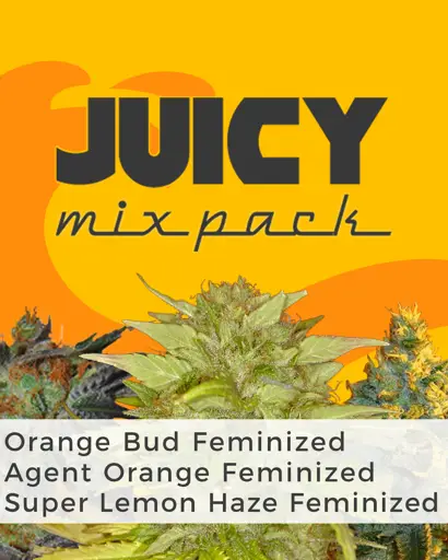 Juice Mix