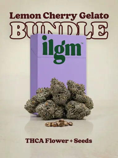 Lemon Cherry Gelato THCa Flower + Seeds Bundle
