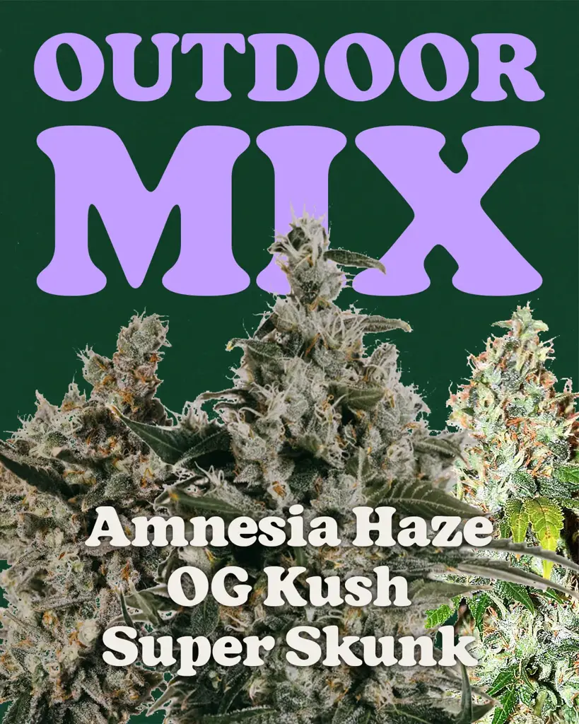 その他 SMOKE WEED 12inch X-Ray-Z Eighth (AZ) – Smoken Promises