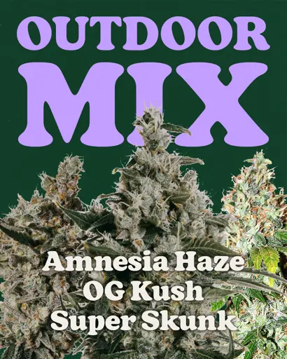 Outdoor Mix