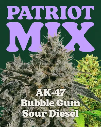 Patriot Mix