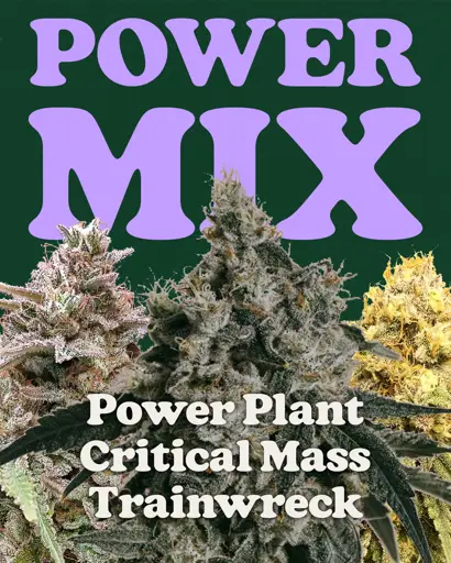 Power Mix