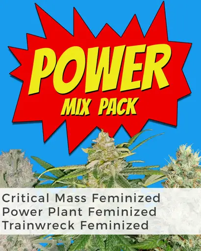 Power Mix