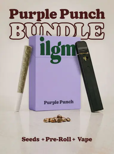 Purple Punch THCa + Seeds Bundle