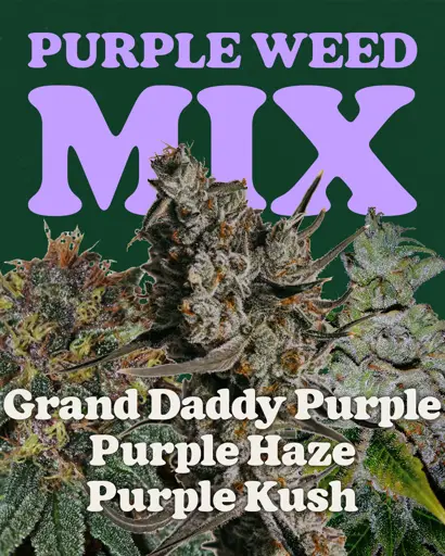 Purple Weed Mix