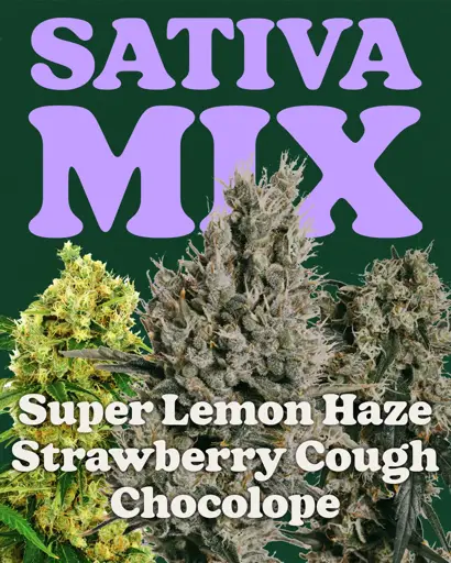 Sativa Mix