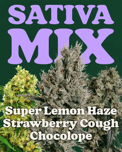 Sativa Mix