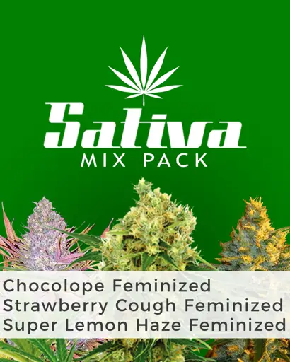 Sativa Mix