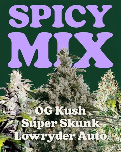 Spicy Mix