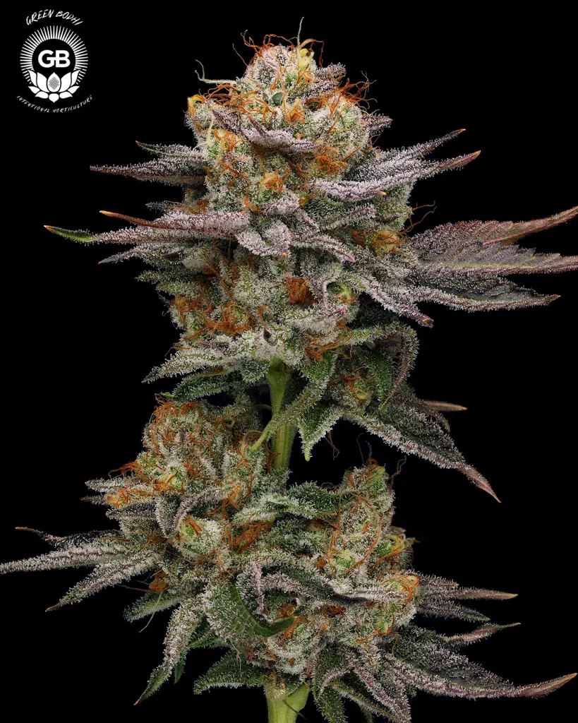 Sticky Bluntz