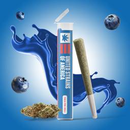 Blueberry <mark>Kush</mark> Pre-roll 1G