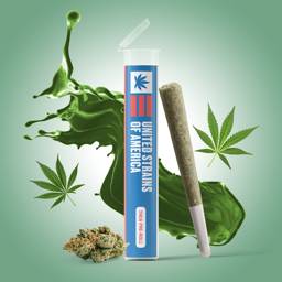 <mark>Sour</mark> <mark>Diesel</mark> Pre-roll 1G